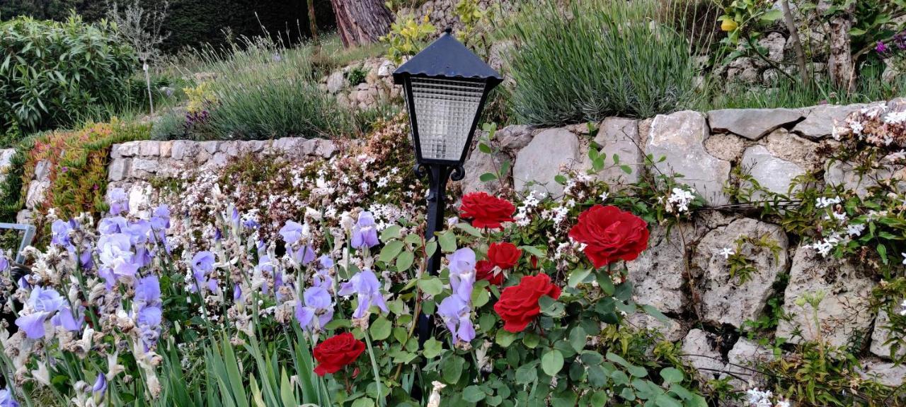 Bed and Breakfast Mas des Buscades Cabris Exterior foto